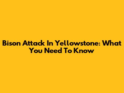 Bison Attack In Yellowstone: What You Need To Know