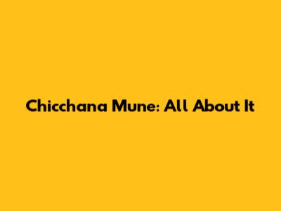 Chicchana Mune: All About It