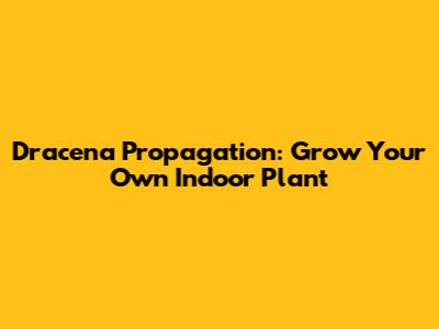 Dracena Propagation: Grow Your Own Indoor Plant
