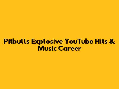 Pitbull's Explosive YouTube Hits & Music Career